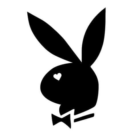 PlayBoy Decal